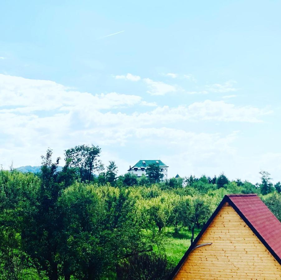 Cabanele Lu' Dinu Curtea De Arges Luaran gambar