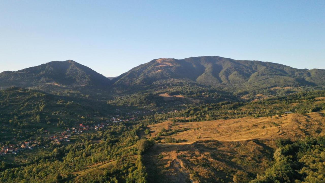 Cabanele Lu' Dinu Curtea De Arges Luaran gambar