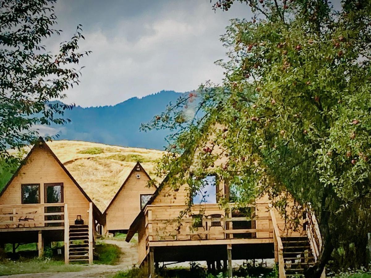 Cabanele Lu' Dinu Curtea De Arges Luaran gambar
