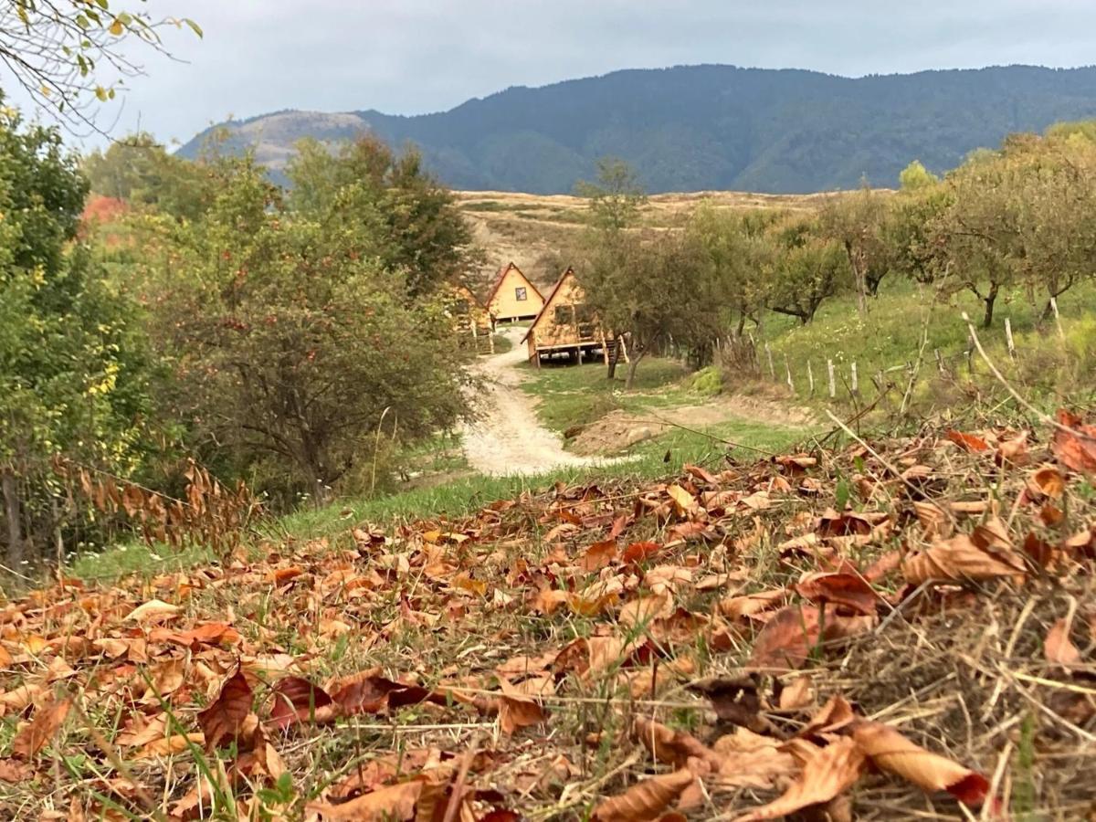 Cabanele Lu' Dinu Curtea De Arges Luaran gambar