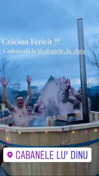 Cabanele Lu' Dinu Curtea De Arges Luaran gambar