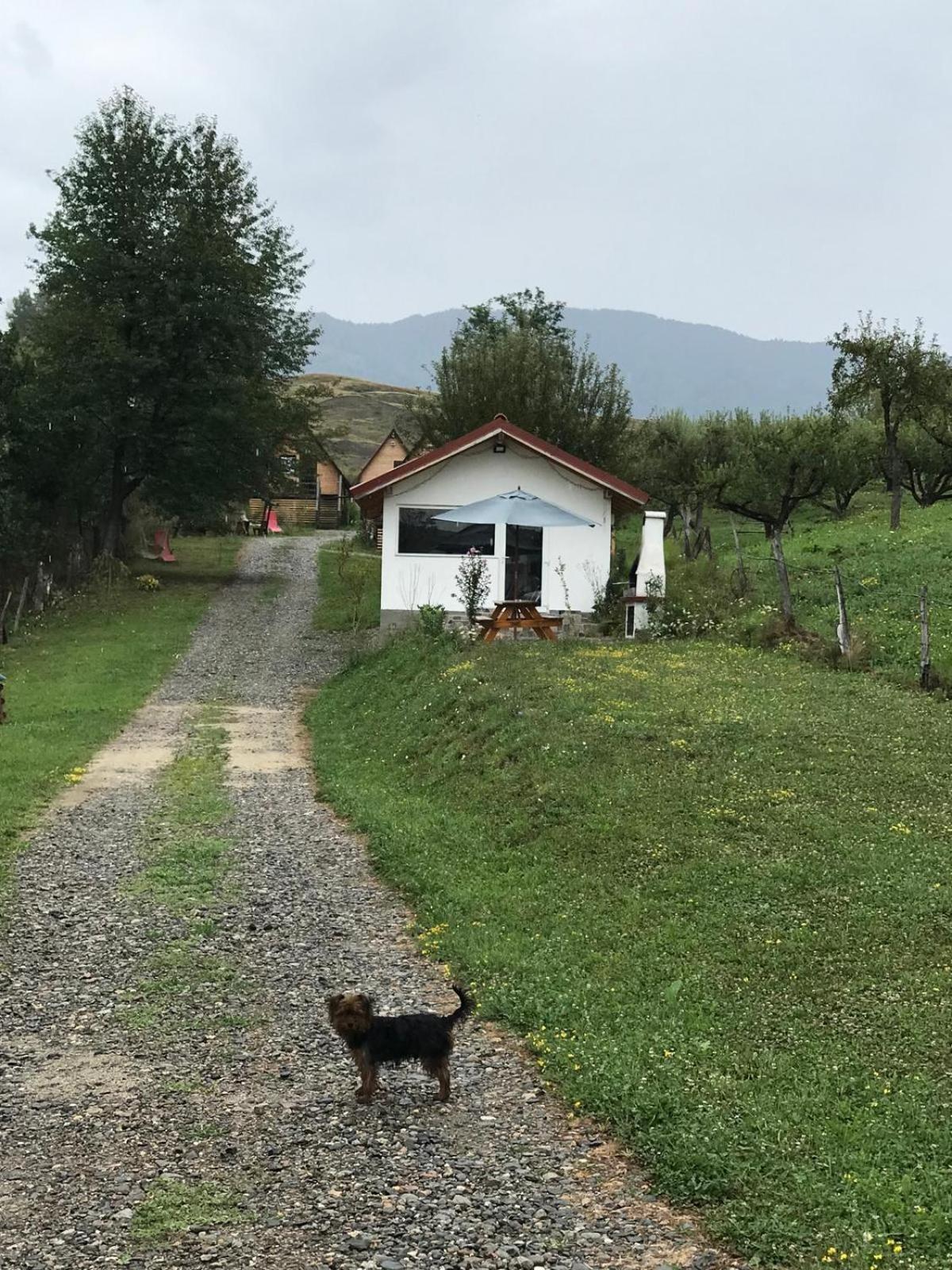 Cabanele Lu' Dinu Curtea De Arges Luaran gambar